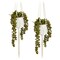 Hanging Artificial String of Pearls Plant with White Ceramic Pot for Wall Decor, House Warming Gift (31 In, 2 Pack)